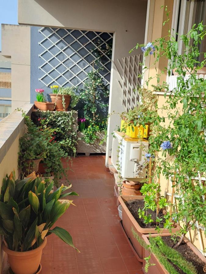Bellavista Cagliari